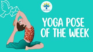 Yoga Pose of the Week  Pigeon Pose  Improve Strength amp Flexibility with Yoga for Kids  Yoga Guppy [upl. by Larual]