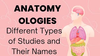 Anatomy Ologies [upl. by Latty]