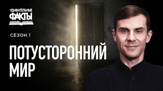 Действительно ли мёртвые мертвы Что происходит после смерти  Удивительные факты 1 сезон 1025 [upl. by Aiza576]