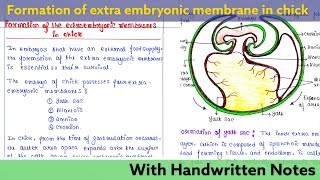 Formation of extra embryonic membrane in Chick  Developmental Biology Lecture [upl. by Oknuj]