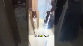 Stuck in the Elevator with a Whiteboard😂 cctv funny [upl. by Enwahs]