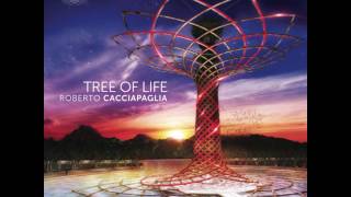 Roberto Cacciapaglia  Tree of Life Full Album 2015 [upl. by Oirevlis440]