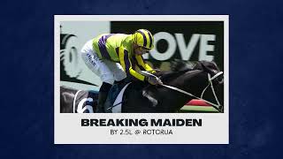 New Purchase  CRUZ MISSILE  Mailbag Bloodstock [upl. by Auhsohey321]