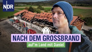 Landwirt Daniel Wehmeyer kämpft um seine Existenz  NDR aufm Land mit Daniel  Folge 1 [upl. by Eenhpad]