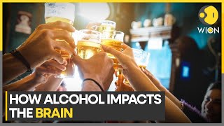 How alcohol impacts the brain  Brain can repair damage in 73 months  WION [upl. by Nnaeed339]