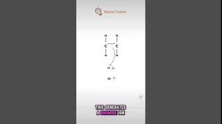 Alevel chemistry mechanism Electrophilic addition [upl. by Aney201]