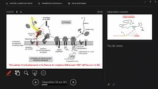 Biosynthèse des phospholipides des protéines membranaires et exportable part4 [upl. by Mosnar19]