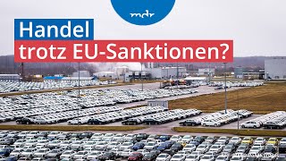 Umgehen von Sanktionen Wie deutsche Autos nach Russland kommen  Plusminus  MDR [upl. by Nivrag246]