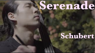 Schubert  Serenade Double Bass Minje Sung [upl. by Matilda]