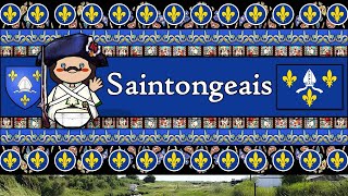 SAINTONGEAIS The Historical Langue doïl of Xaintonge  A Journey Through the Language of Saintonge [upl. by Nnainot116]