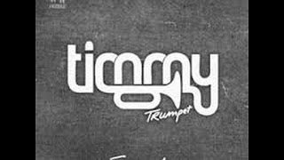 Freaks  Timmy Trumpet ft Savage Lyrics [upl. by Lorena]