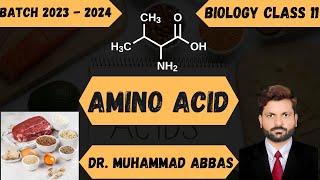 Why You Dont Need 20 Amino Acids  Amino acid [upl. by Ahsiat]