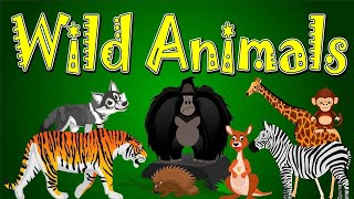 Wild Animals Name  Learn Wild Animals Name In English   ANIMALS [upl. by Idnir512]