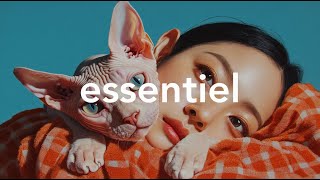 Playlist So sad chill vibes lofi music mix for relaxation and study [upl. by Pascha113]