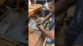 Master Cigar Roller Shows How Its Done [upl. by Asyla660]