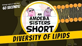 Diversity of Lipids  Amoeba Sisters Shorts [upl. by Elleivap]