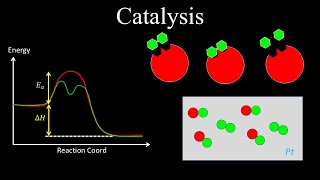 Catalysts Enzyme Catalysis AcidBase Catalysis Surface  Chemistry [upl. by Vallonia546]