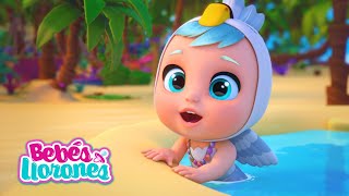 VERANO PLAYA y Bebés Llorones Lágrimas Mágicas ⛱💕 CAPÍTULOS COMPLETOS para niños en español [upl. by Moynahan]