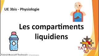 TAT PédagogieUE3bis PhysiologieLes compartiments liquidiens [upl. by Adniram]