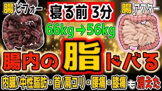 【アラフィフ10kg】1時間歩くより寝る前3分！勝手にリンパ腸内洗浄で余分な脂を取り除き内臓中性脂肪も減って自律神経も整い首肩こり・脊柱管狭窄症・坐骨神経痛・変形性股関節膝関節症も解消し若返る [upl. by Gladis419]