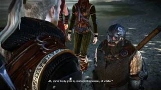 90 Lets Play The Witcher 2 Assassins of Kings  With Flickering Heart 1 The Ambush [upl. by Brunelle]