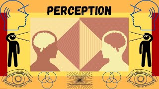 What is Perception Faculties of the Mind [upl. by Harod]