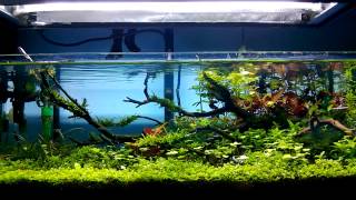 ADA 60F [upl. by Le]