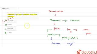 Translocation of photosynthates occur in the form of [upl. by Aissenav]