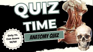 How Much Do You Really Know About the Human Body  Anatomy Quiz  anatomyquiz MedicalStudents [upl. by Arykat]