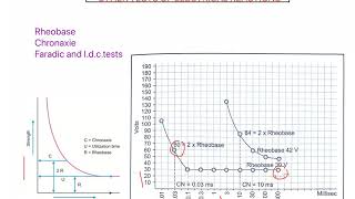 Rheobase and Chronaxie Electrodiagnosis part 3 LOW FREQUENCY [upl. by Capwell]