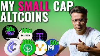 My Crypto Portfolio Small amp Mid Cap Altcoin Gems For 100x Potential Gains [upl. by Isador]