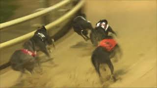 2011 CHAMPION STAKES FINAL  DROOPYS HESTER [upl. by Begga]