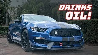 GT350 OIL CONSUMPTION How BAD is it [upl. by Nimrak]