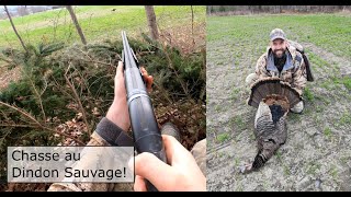 Chasse au Dindon Sauvage les hauts et les bas  Turkey Hunt [upl. by Leilani]