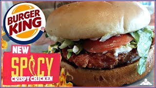 Burger King®  Spicy Crispy Chicken Sandwich Review 🔥🐔 [upl. by Bagley190]