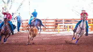 TEAM ROPING SUPER SERIES 2023 • LAÇADAS • CAMPÕES WARM UP • LAÇO EM DUPLA [upl. by Nirrol]