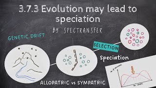 EASY REVISION AQA ALevel Biology 373 Evolution may lead to speciation [upl. by Inat]