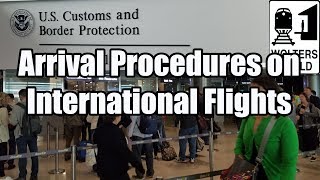 What is the Arrival Procedure on an International Flight [upl. by Buchanan52]