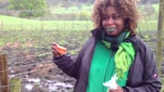 Hamish the famous Scottish cow  GloZell in Scotland [upl. by Rumpf]