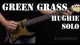 Green Grass and High Tides Outlaws Guitar Solo Hughie Thomasson [upl. by Letney596]