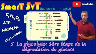 7La Glycolyse 1ère étape de la dégradation du glucose [upl. by Amimej]