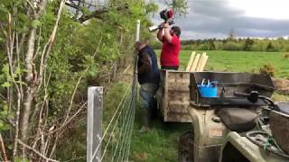 Fencing Using Steel Posts And Clip In Wire [upl. by Soren754]