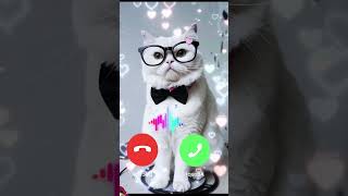 catcalling ringtone cutetone smartphone [upl. by Oswin614]