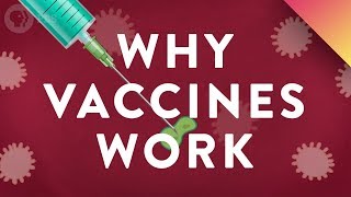 Why Vaccines Work [upl. by Wendin]