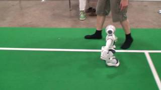 Robocup 2010 Nao walking at 444 mms [upl. by Hadria]