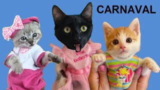 Gatito bebe se pone ropa para Carnaval 2023  Videos de gatos graciosos Luna y Estrella en español [upl. by Agnes225]