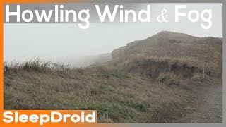 ►Heavy Howling Wind Sounds for Sleeping 10 hours of Ambient Storm Sounds and Fog Viento [upl. by Gracie]