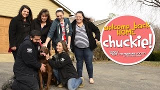 Lost Dog Rescued amp Reunited with Family [upl. by Takken]