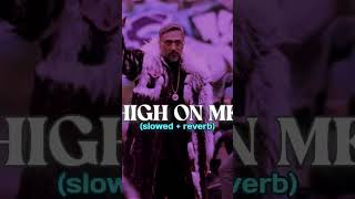 High On Me  Honey Singh  Slowed And Reverbedlofilegend lofi honeysingh trending shorts [upl. by Aiderfla]