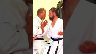 Bunkai for the elbow strikes in Shisochin for Goju Ryu [upl. by Aileon242]